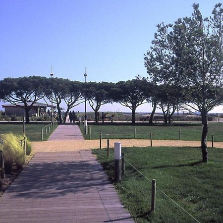 Charmant Appart. 500M Plages Des Sablettes La Seyne-sur-Mer Buitenkant foto